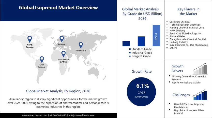 Isoprenol Market Overview